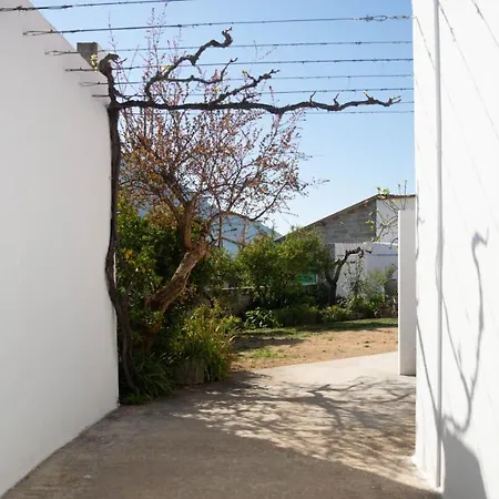 Apartamento Melograno E Fico